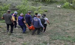 Tunceli’de Ayının Saldırısına Uğradı!