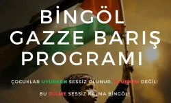 Bingöl, 'Gazze İçin' Yürüyecek