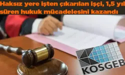 Bingöl İşten Çıkarılan İşçi 1.5 Yıl Süren Hukuk Mücadelesini Kazandı