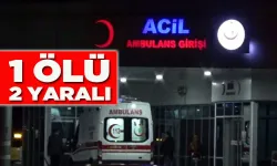 Bingöl'de Silahlı Saldırı: 1 Ölü, 2 Ağır Yaralı