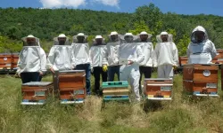 Arıcılara, Ana Arı Üretimi Eğitimi Verildi
