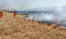 Bingöl'de Anız Yangını Buğday Tarlalarına da Sıçradı