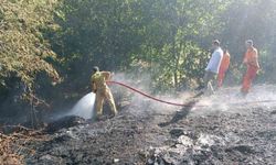 Bingöl'de Orman Yangını Söndürüldü
