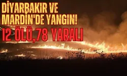 Diyarbakır ve Mardin Arasında Anız Yangını: 12 Can Kaybı, 78 Yaralı