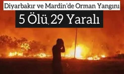 Diyarbakır ve Mardin'de Anız Yangını: 5 Ölü, 29 Yaralı