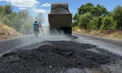 Kiğı-Yayladere Yolunda Çalışma Başlatıldı...