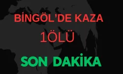 Sokak Köpeklerinin Saldırısından Kaçarken Aracın Altında Can Verdi..!