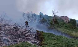 Tunceli Pülümür'de Ağaçlık Alanda Çıkan Yangın Söndürüldü