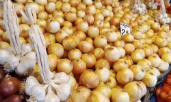 Patates ve Soğan Fiyatlarında Düşüş