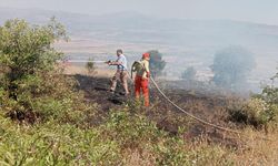 Bingöl'deki Anız Yangını Erken Müdahaleyle Söndürüldü