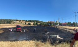 Bingöl'de Buğday Tarlası Küle Döndü