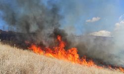 Genç-Yayla’da Orman Yangını