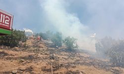 Bingöl'de 3 Farklı Noktada Orman Yangını