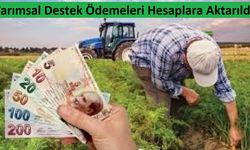 Tarımsal Destekleme Ödemeleri 'Çiftçi Hesaplarına' Yattı