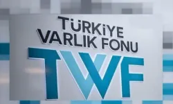 Varlık Fonu'na 12 Şirketin Hissesi Aktarıldı