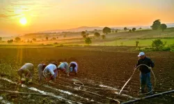 Yaşlıların Yaşam Kalitesinin Arttırılmasını İstedi