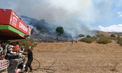 Garip Köyü'nde Orman Yangını