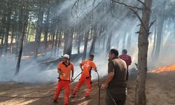 Bingöl Çamlık'ta Yangın Çıktı