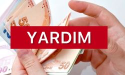 Çoklu Doğum Yardımı Başvurusu Nasıl Yapılır? Kimler Faydalanabilir? Detaylar Haberde