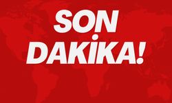 Son Dakika: Yolcu Uçağı Düştü