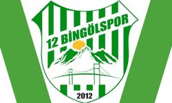 12 Bingölspor, Ziraat Kupası'na 1. Tur'da Katılacak