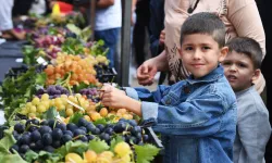 Bursa'daki Festivalde En Güzel Üzümler Seçildi