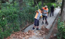 Bakırköy'de 'Temizlik Seferberliği' Başlatıldı