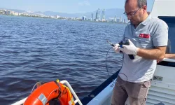 Körfez'in Oksijen İhtiyacı Günyüzüne Çıktı