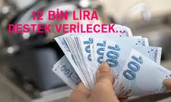 12 Bin Lira Destek: Bakanlıktan Geri Ödemesiz Yardım!