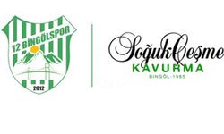 12 Bingölspor'a 'İç Saha' Reklam Sponsoru Oldu