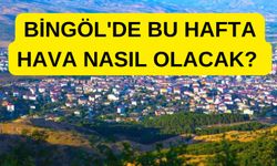 Bingöl'de Bu Hafta Hava Durumu!