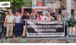 Bingöl Emek Ve Demokrasi Platformundan Narin Açıklaması