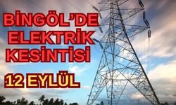 Bingöl’de Planlı Elektrik Kesintisi: 12 Eylül 2024'te Hangi Köyler Etkilenecek?