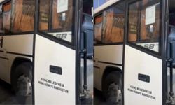 Belediyeden Öğrencilere Destek: Servis Ücreti 10 TL