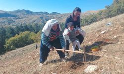 Tunceli’de Bin Ağaç Fidanı Toprakla Buluşturuldu