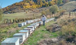 Arıcılık Desteklemeleri İçin Başvuru Süresi Uzatıldı