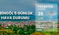 Bingöl'de 5 Günlük Hava Durumu: Sağanak Yağış Geliyor!