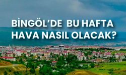 Bingöl'de Bu Hafta Hava Nasıl Olacak?