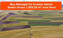 Muş Malazgirt'te İcradan Satılık Sudan Ucuza 1.202,25 m² arsa İlanı!