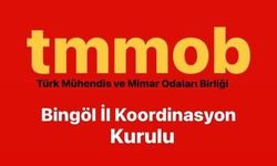 TMMOB Bingöl İl Koordinasyon Kurulu’ndan Kayyum Tepkisi