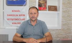Bingöl’de Son 10 Yıldır Düşüş Yaşıyor!