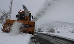 Bingöl'de Kar: 191 Köy Yolundan 130'u Ulaşıma Açıldı