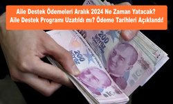 Aile Destek Ödemeleri Aralık 2024 Ne Zaman Yatacak? Aile Destek Programı Uzatıldı mı? Ödeme Tarihleri Açıklandı!