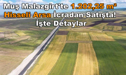 Muş Malazgirt'te 1.202,25 m² Hisseli Arsa İcradan Satışta! İşte Detaylar...