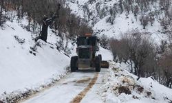 Diyarbakır’da Kardan Kapanan 300 Kilometrelik Yol Açıldı