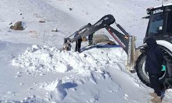 Hakkari 3 Bin 500 Rakımda Zorlu Çalışma