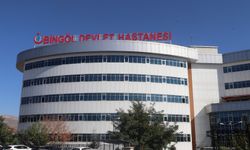 Şifayı Bingöl Devlet Hastanesinde Buldu