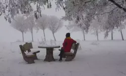 Bitlis’te Ağaçlar Kırağanın Etkisiyle Beyaza Büründü