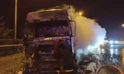 Bolu Dağı’nda Mangal Kömürü Yüklü TIR Alev Aldı