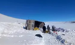 Bingöl’den Erzurum’a Giden Yem Yüklü Kamyon Devrildi